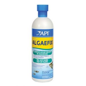 קוטל אצות ALGAEFIX