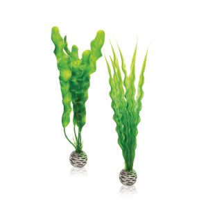 סט צמחי פלסטיק בינוני ירוק לאקווריום biOrb