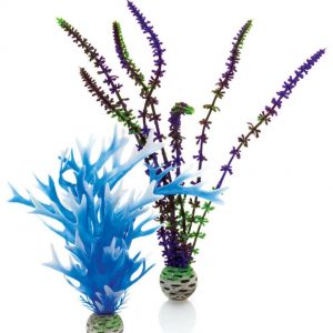 סט צמחי פלסטיק בינוני כחול וסגול לאקווריום biOrb