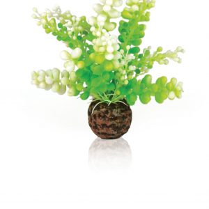 צמח פלסטיק ירוק לאקווריום biOrb