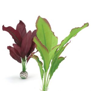 סט צמחי משי ירוק וסגול בינוני לאקווריום biOrb