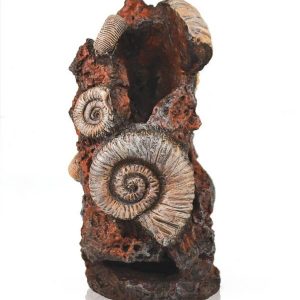דקורצייה לאקווריום biOrb Ancient conch