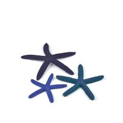 סט 3 קיפודי ים כחול לאקווריום biOrb