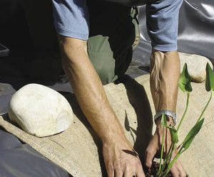 סלסלת בד לשתילת צמחי גדה בבריכת נוי Oase Marginal plant Holder