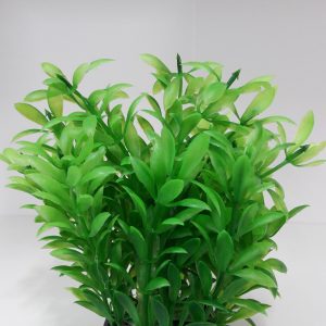 צמח פלסטי ירוק לאקווריום 10 ס"מ